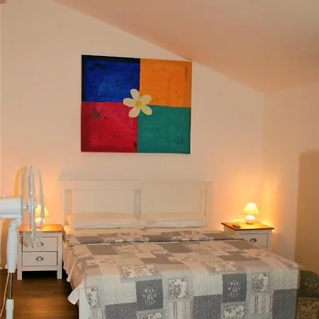 Ravni119 * Raša